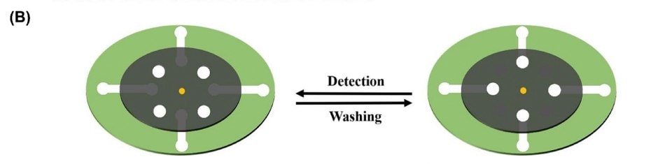 The schematic illustrates the working process of the analytical device, showcasing the difference between the detection and washing functions, which are controlled by rotating the washing layer. This visualization offers a clear understanding of the operational principles of the device, particularly the mechanism for transitioning between the detection and washing phases. The schematic effectively communicates how the device's components and design enable the controlled manipulation of fluids, contributing to the accurate and reliable detection of SARS-CoV-2 and other analytes.