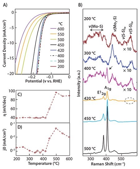 Dependence of the catalytic performance