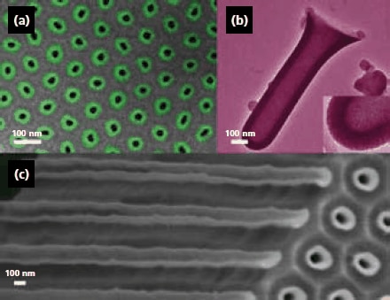 Electron micrographs (scanning, SEM; transmission