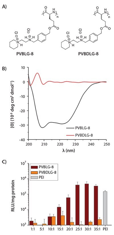 Chemical structure of helical PVBLG-8 and random-coiled PVBDLG-8