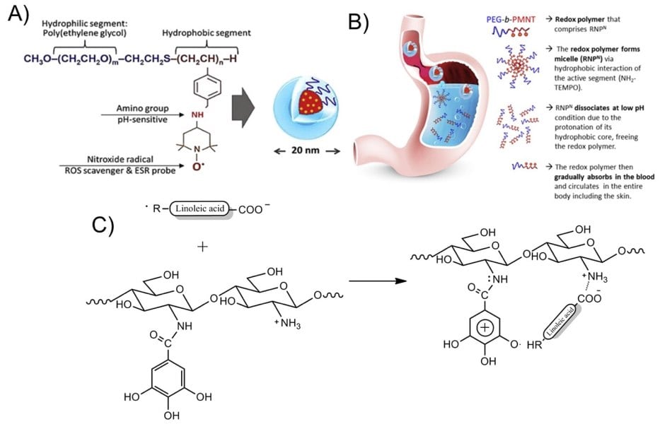 Chemical structure of pH-sensitive antioxidan polymer nanoparticles including a hydropohilic segment (poly(ethylene glycol) PEG), a pH-sensive amino group, and a ROS scavenger (nitroxide radical)