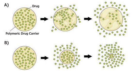 Degradation mechanisms of biodegradable polymeric drug carriers