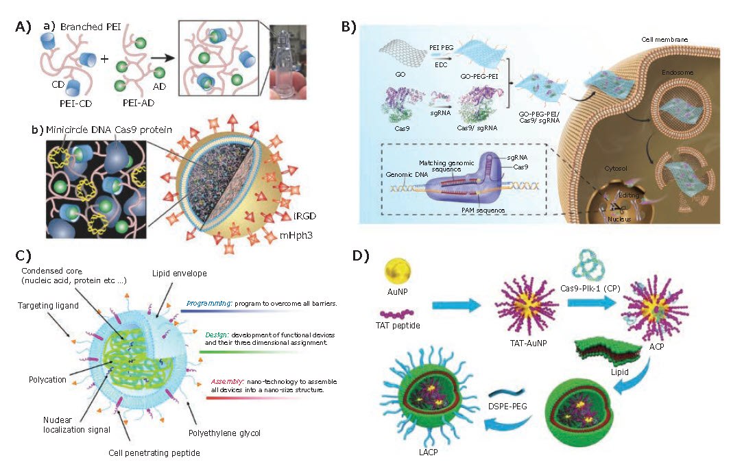 Recent Progress on Nonviral Delivery Carriers for CRISPR/Cas9 Systems Delivery platforms based on hybrid materials