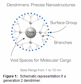 Schematic representation of a generation 2 dendrimer.