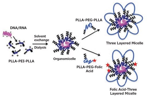 Formulation of non-targeted and targeted three-layered micelles in a 2-step process