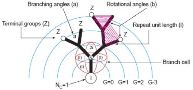 Schematic of dendritic branch including generation, repeat unit length, terminal groups, branching angles, and rotational angles. 