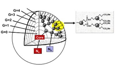 Mathematical expressions for calculating the theoretical number of surface groups (Z), branch cells (BCs), and molecular weights (M<sub>W</sub>s) for PAMAM dendrimers as a function of generation for the PAMAM dendrimer family, where: N<sub>c</sub>, N<sub>b</sub> = core, branch cell multiplicities; respectively, and G = generation. Reprinted with permission from reference 3, copyright 2004 Sigma-Aldrich; reference 5, 2005 Elsevier; and reference 6, 2012 Cambridge University Press.