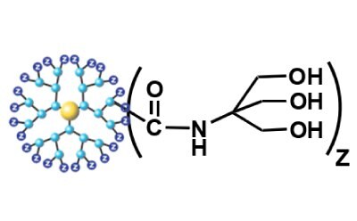 Schematic of PAMAM dendrimers with various surface functionalities. - C Tris(hydroxymethy aminomethane (TRIS))<br>(Neutral Dendrimer)