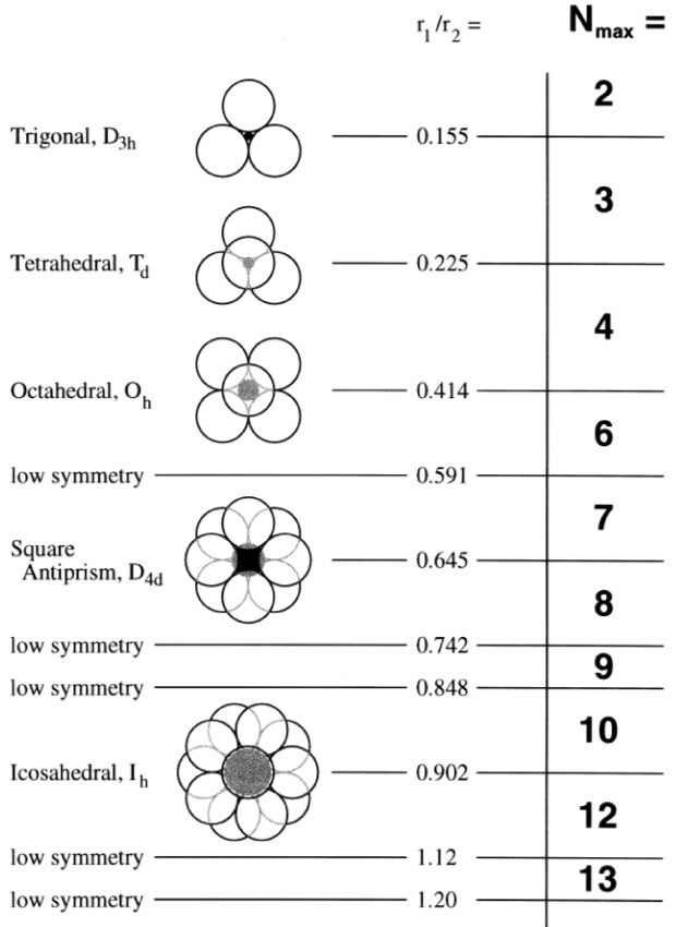 Schematic of PAMAM dendrimer architecural components including the core, interior, and terminal groups. 