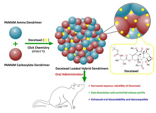 Schematic diagram showing strategy for developing hybrid dendrimer nanoassembly of docetaxel from drug solubility, dissolution, and release profile. 