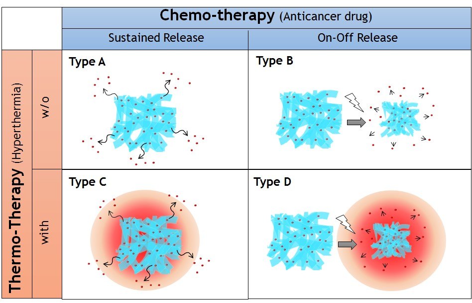 Four types of implantable nanofiber system for local drug delivery system proposed in this study