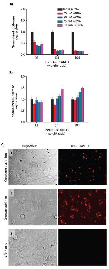 In vitro transfection of HeLa-Luc cells with luciferase siGL3 at various polymer:siRNA weight ratios and siRNA concentrations