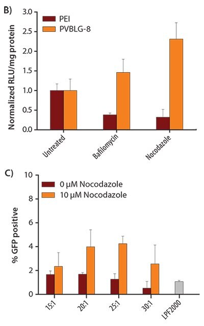 In vitro transfection of COS-7 cells treated with complexes