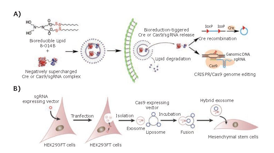 Recent Progress on Nonviral Delivery Carriers for CRISPR/Cas9 Systems Lipid-based platforms