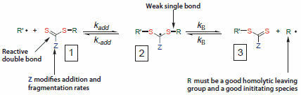 Mechanism for reversible addition-fragmentation chain transfer