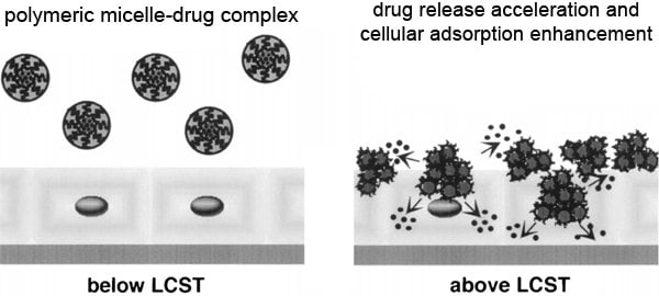 Applications of Stimuli-responsive Polymers