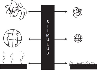 Stimuli-responsive Polymer Forms