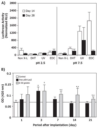 Collagen-mediated naked pDNA delivery