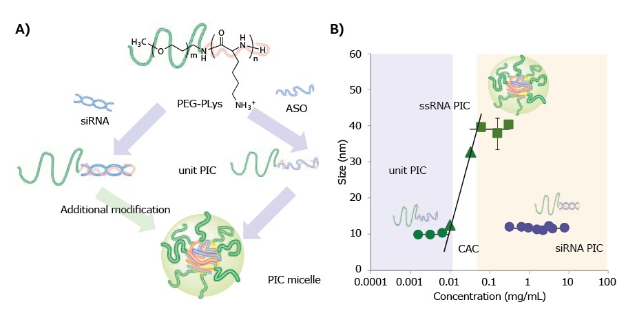 PIC formation behaviors 