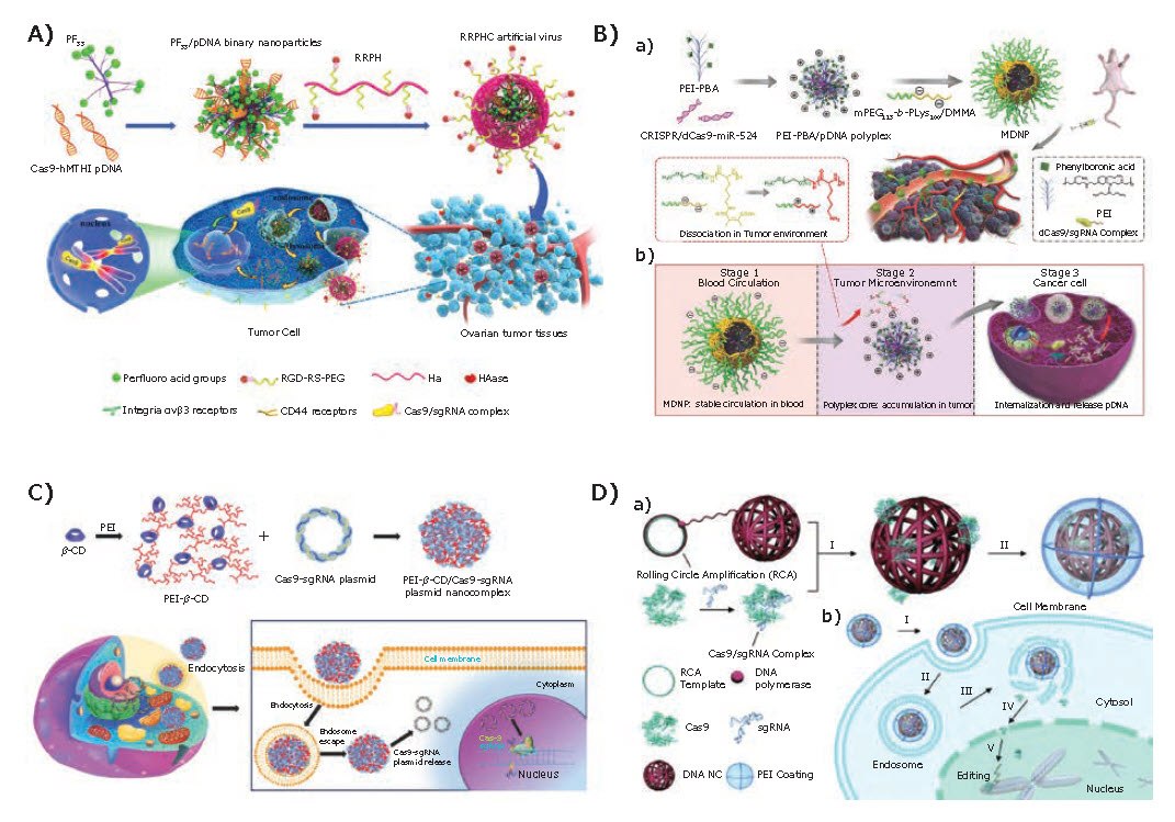 Recent Progress on Nonviral Delivery Carriers for CRISPR/Cas9 Systems Polymer-based platforms