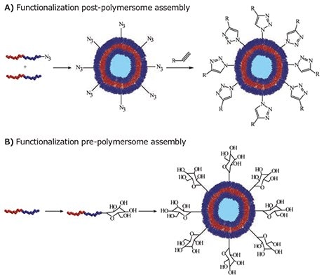 Strategies for the incorporation of targeting groups onto a polymersome surface.