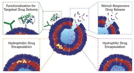 Schematic highlighting the advantages of polymersomes for drug delivery.