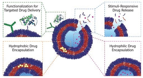 MATERIAL MATTERS, Volume 12, Number 2 Schematic highlighting the advantages of polymersomes for drug delivery.