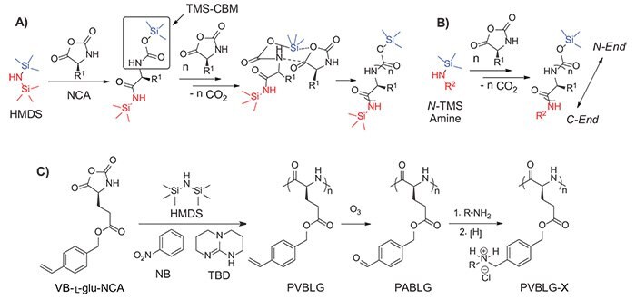 Proposed mechanism