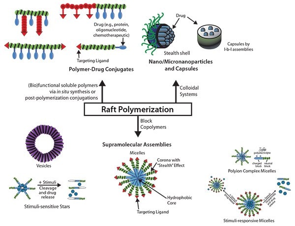 Examples of Controlled Drug Release Systems Generated by RAFT-Polymers