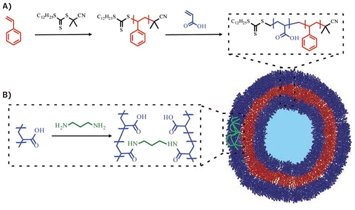 Representative synthesis of BCP via RAFT polymerization and BCP self-assembly into polymersomes, as well as polymersome stabilization through crosslinking.