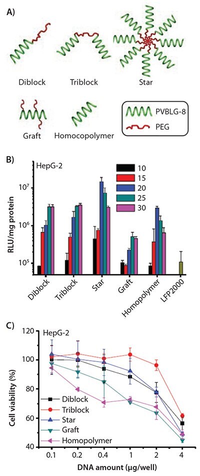 Schematic representation of PEG-PVBLG-8 copolymers with different architectures