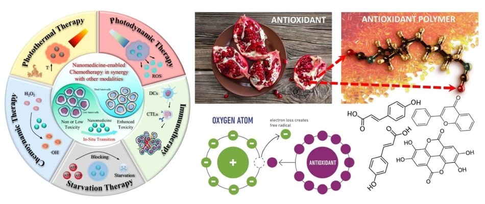 Schematic of various nanomedicine-enabled cancer therapies that can work in synergy with chemotherapy including photothermal, photodynamic, starvation, chemoynamic, and immunotherapy. 