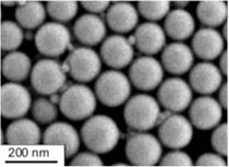 SEM image of PLLA-1 showing spherical shape and narrow polydispersity.