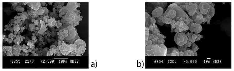 SEM images of chitosan-BSA-TPP microparticles prepared from formulation F4 using parameters P1