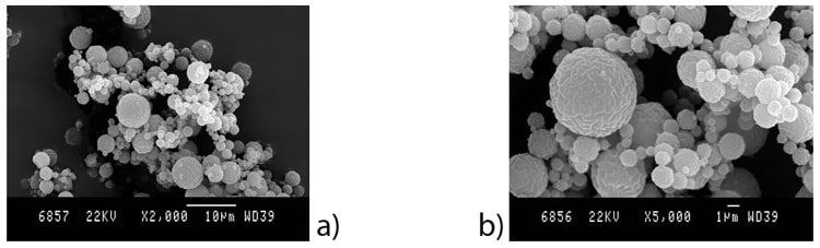 SEM images of chitosan-BSA microparticles prepared from formulation F3 using parameters P1