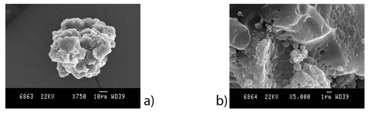 SEM images of chitosan microparticles prepared in formulation F5 using parameters P2