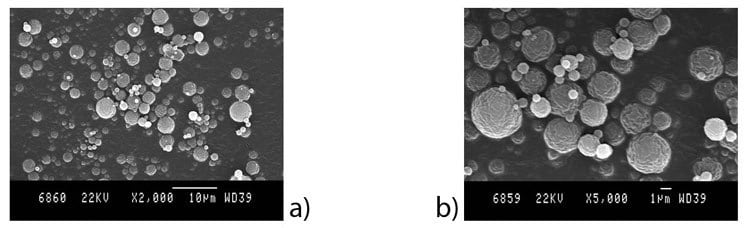 SEM images of chitosan-TPP microparticles prepared from formulation F2 using parameters P1