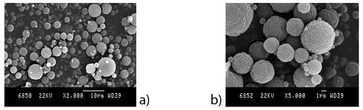 SEM images of chitosan microparticles prepared from formulation F1 using parameters P1