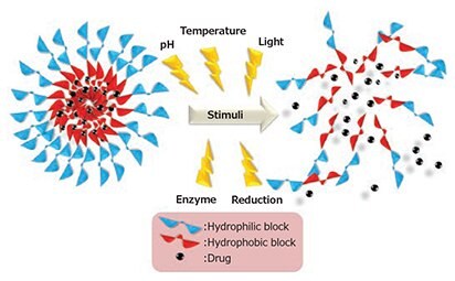 Schematic representation of stimuli-responsive drug release.