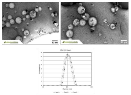 Use of Iron Oxide Incorporated Conjugated Polymer Nanoparticles for Bioimaging CPNs display excellent uniformity in size and shape