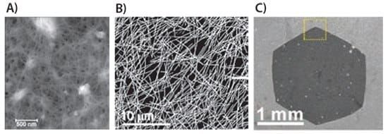 AFM image of a CNT network