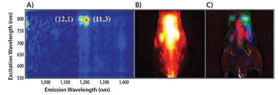 Real-time in vivo video imaging of whole mouse using chirality-enriched semiconducting SWNTs.