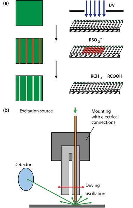 Schematic diagram showing the photopatterning