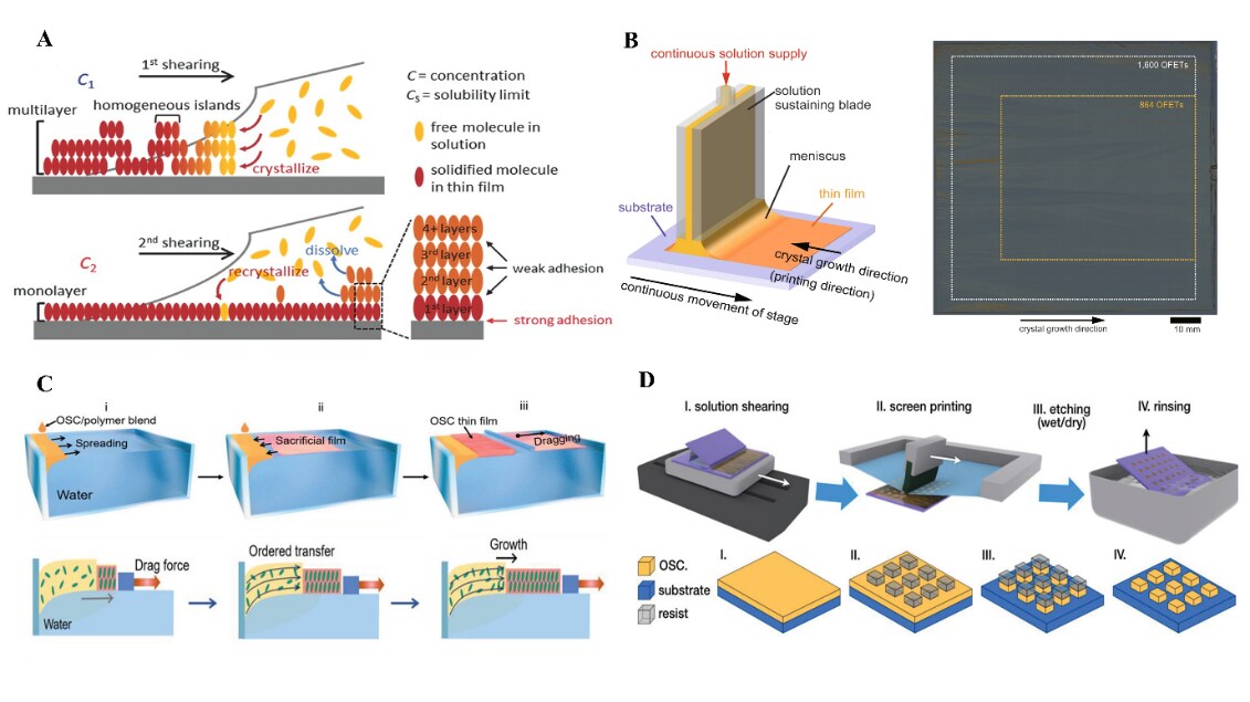 Shearing methods for high crystalline film deposition. <b>A</b>) Dual solution shearing method. Multilayer crystals with different orientations were formed at the 1st shearing. At the 2nd shearing, the upper layers were dissolved because of weak interlayer adhesion, while the bottom monolayer crystal was dissolved slowly and recrystallize due to strong adhesion to the substrate, leaving the high-crystalline monolayer. Reprinted with permission from reference 27, copyright 2017 Wiley. <b>B</b>) Continuous edge casting method. Crystal nanosheet was formed at the vapor-liquid interface of the meniscus line, where the solution is supersaturated because of solvent evaporation. The nanosheet was laminated on the substrate with the substrate movement. 1600 OFETs were fabricated on a 4-inch size wafer. Reprinted with permission from reference 28, copyright 2019 Nature. <b>C</b>) Water-surface drag coating method. A discrete OSC/PS film was used as the sacrificial film to control solvent spread. The triggered the spread of solution by dragging at the contact line pushed the nuclei to move. At the same time, with the solvent evaporation at the contact line, a crystal was gradually grown. Reprinted with permission from reference 29, copyright 2019 Wiley. <b>D</b>) Simple solution shearing method and semiconductor patterned method by the resist. Water-soluble resist was printed onto crystal films. And then unprotected layer was etched by organic solvent /oxygen plasma. Last, the resist was removed by ultrapure water. Reprinted with permission from reference 35, copyright 2020 Wiley. Shearing methods for high crystalline film deposition