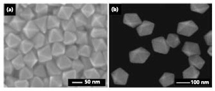 Gold nanostructures synthesized by the modified polyol process. 