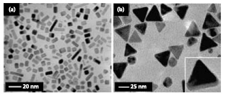 Palladium nanostructures synthesized by the modified polyol process.