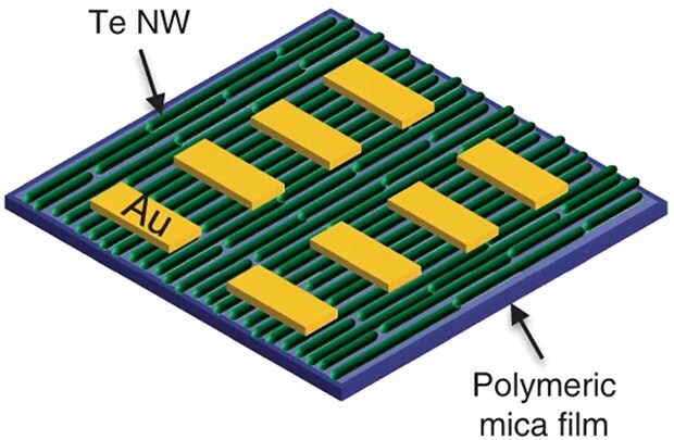 Schematic illustration of the device with 60 wt.% polymeric mica film as its substrate