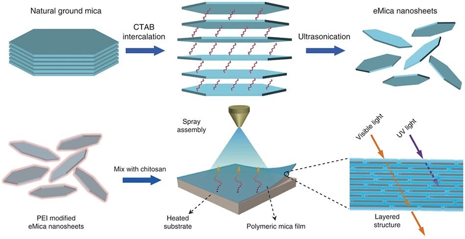 Schematic illustration showing the exfoliation process of natural ground mica into eMica nanosheets via intercalation with CTAB. PEI-eMica nanosheets were further mixed with CS solution to produce polymeric mica film by a spray-coating method. Schematic illustration showing exfoliation process of natural ground mica into eMica nanosheets via intercalation with CTAB