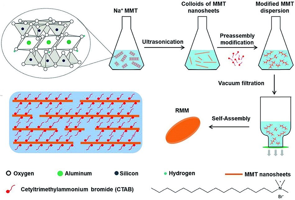 Fabrication of reconstructed MMT membrane (RMM)