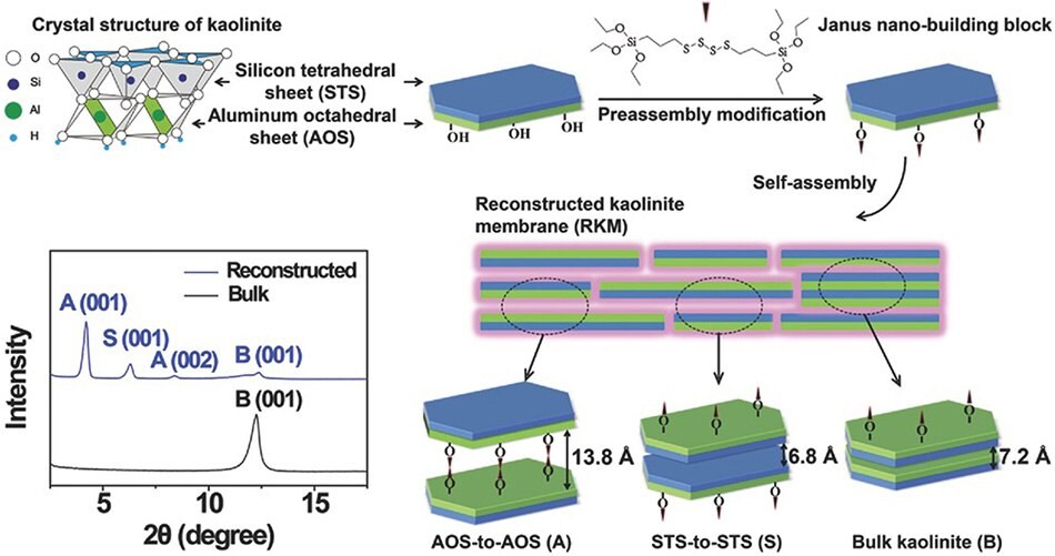 Self-assembly and reconstruction of 2D Janus nanosheets with XRD patterns